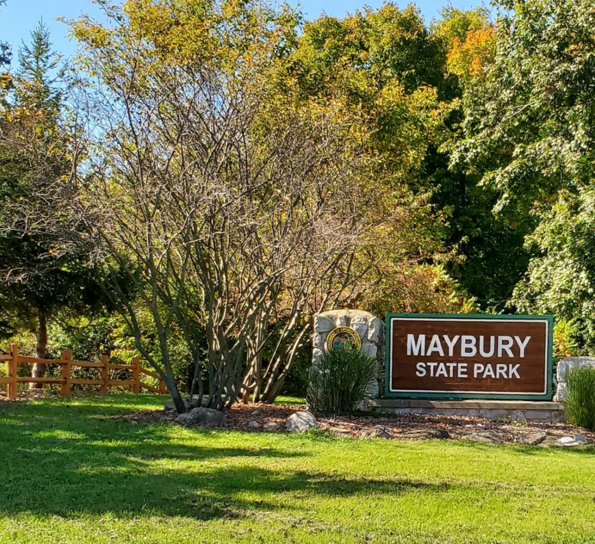 Maybury MTB Trail